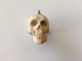  Schedeltje gemaakt van Mammoth Ivory 2,5 cm- 18.000 J. Oud € 49,00