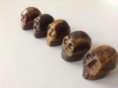  5 x tijgeroog schedeltjes, 2-2,5 cm, kan ook als hanger € 29,00